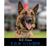 Judd P Becker's profile image