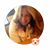 Ruth Levi Russcol's profile image