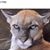 Laura Jackson's profile image