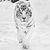 Ann Archdale Feuerherm's profile image