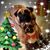 Kim Feeney Bubel's profile image
