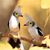 Kirstie Gallegos's profile image