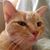 Sherrie Meador's profile image