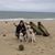 Dorothy DeLuca Turcotte's profile image