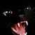 Lisa Needham's profile image
