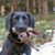 Mike Frisch's profile image