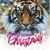 Sylvia Padilla Douma's profile image