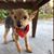 Erica L Vaniscak's profile image