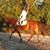 Tammy Fuller's profile image