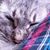 Scott Edwards's profile image