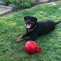 Stacy Schaal's profile image