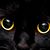 Marti Stott's profile image