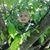 Joanna Miller's profile image