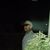 Aaron West Sr.'s profile image