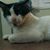 Ika Hadikusuma's profile image