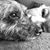 Debbie Lyford King's profile image