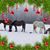 Mindy Prince Miland's profile image
