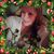 Carol Mcclain's profile image