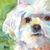 Tonya Burkhard's profile image