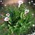 Brenda Grice Jones's profile image