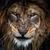 Kathryn Davidson's profile image