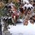 Jill Schneeberger Craig's profile image