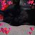 Jamie Ayars Knowles's profile image