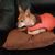 Jimmy Gentry's profile image