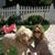 Erica Greenfeld-Koonin's profile image