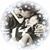 Shareina S. Nemer's profile image