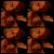 Cheryl Melisa Eggert's profile image