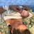 Rebecca Carlson's profile image