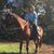 Janet Paulick Costantino's profile image