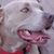 Mary Greeling's profile image