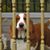 Joann Larry Pierce's profile image