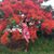 Em Samuels's profile image