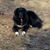Brenda Ellsworth Carrier's profile image