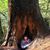 Mark DeGroot's profile image