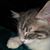 Kristal Hart's profile image