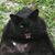 Melanie Bell's profile image