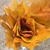 Amy Willman Bailey's profile image