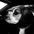 Chuck Nunley III's profile image
