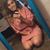 Sara Marie Deines's profile image