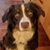 Kimberly Cerra's profile image