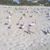 Cinda Wilson's profile image
