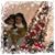 Amira Awad Youssif's profile image
