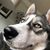 Sandy Williams Nicholls's profile image
