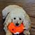 Marcie Aberman's profile image