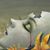 Sandra Wallace's profile image