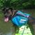 Dona Springer's profile image